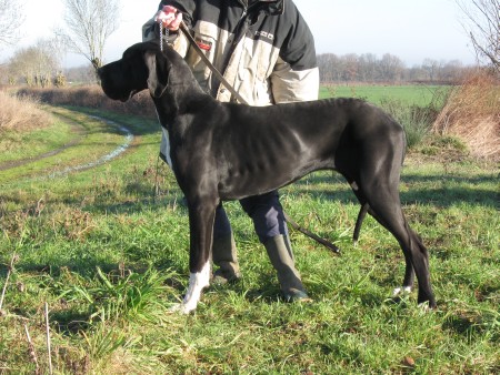 Elle des geants du bocage