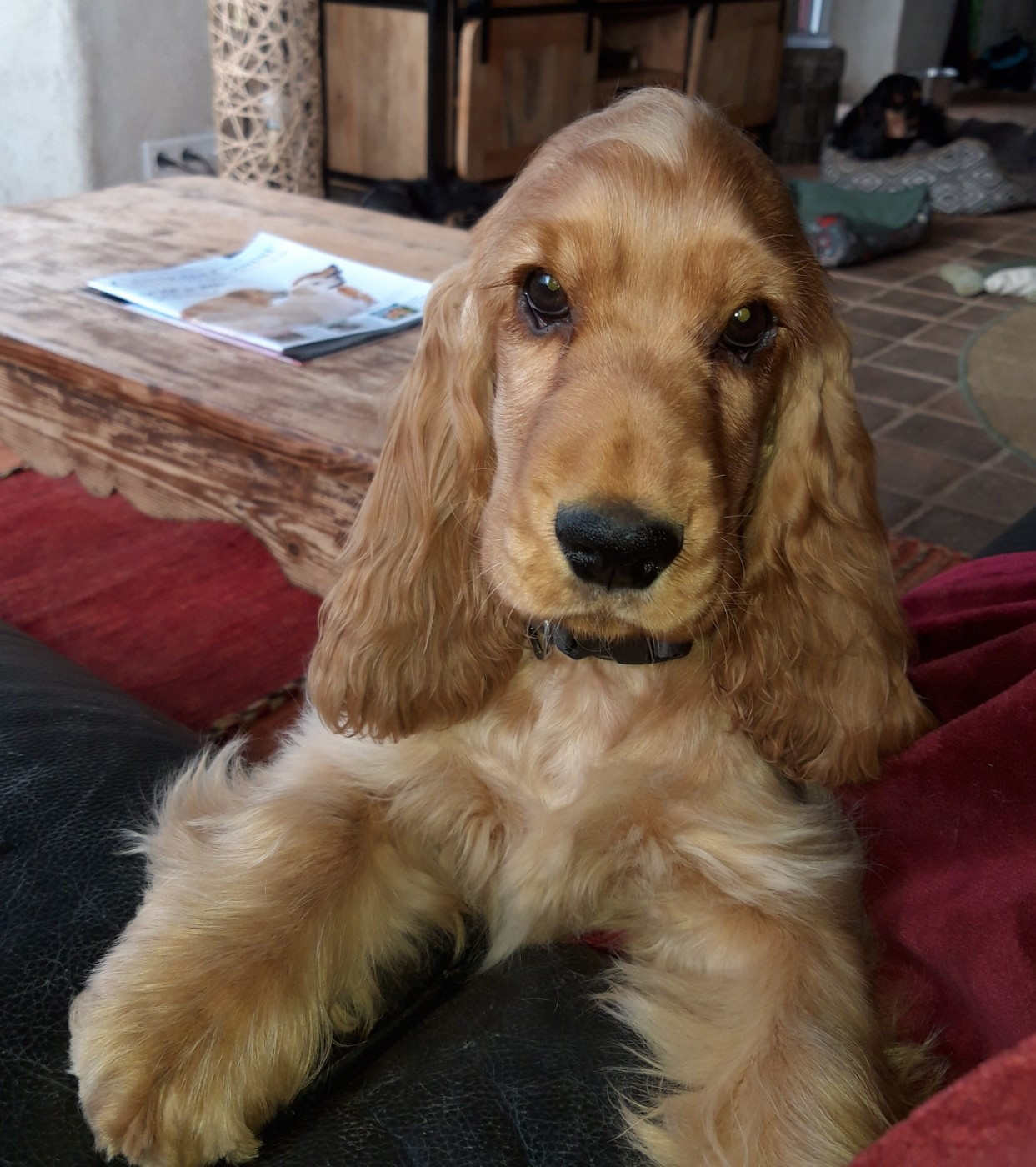 Abyss des geants du bocage